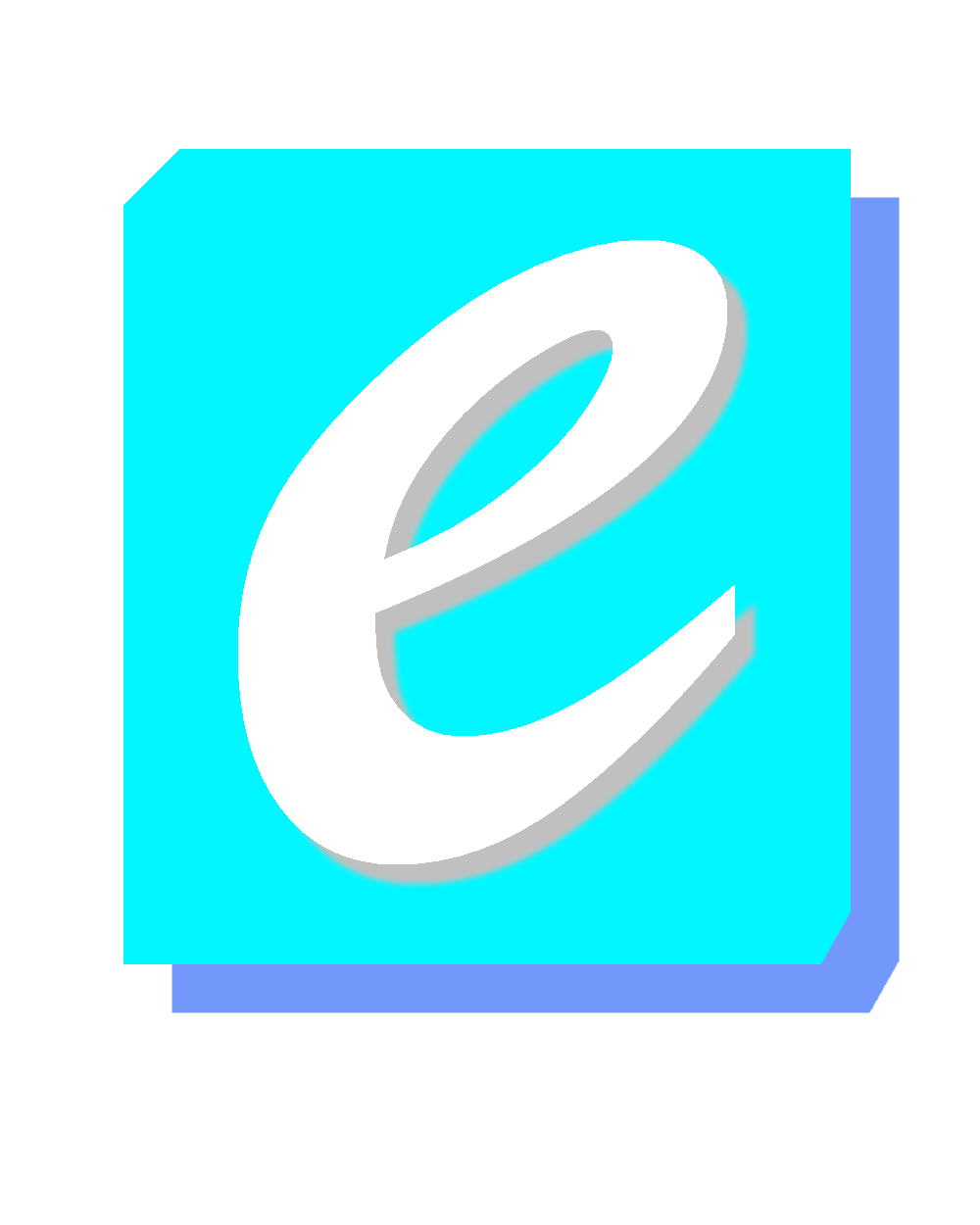 e webs logo